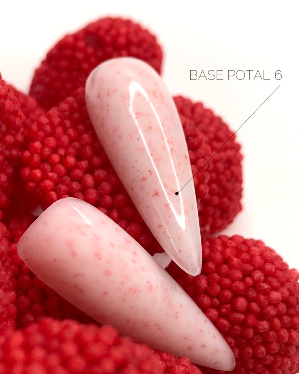 Base potal 6 (1)